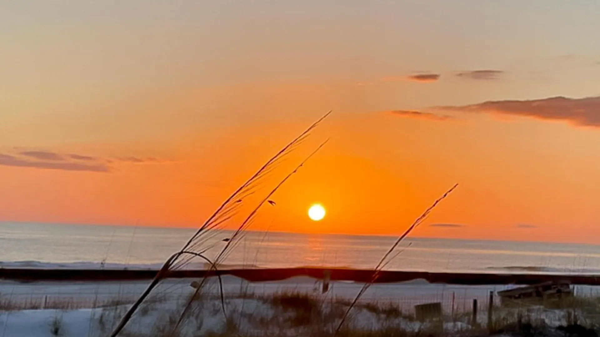 Dunes Of Panama C104 Panama City Beach